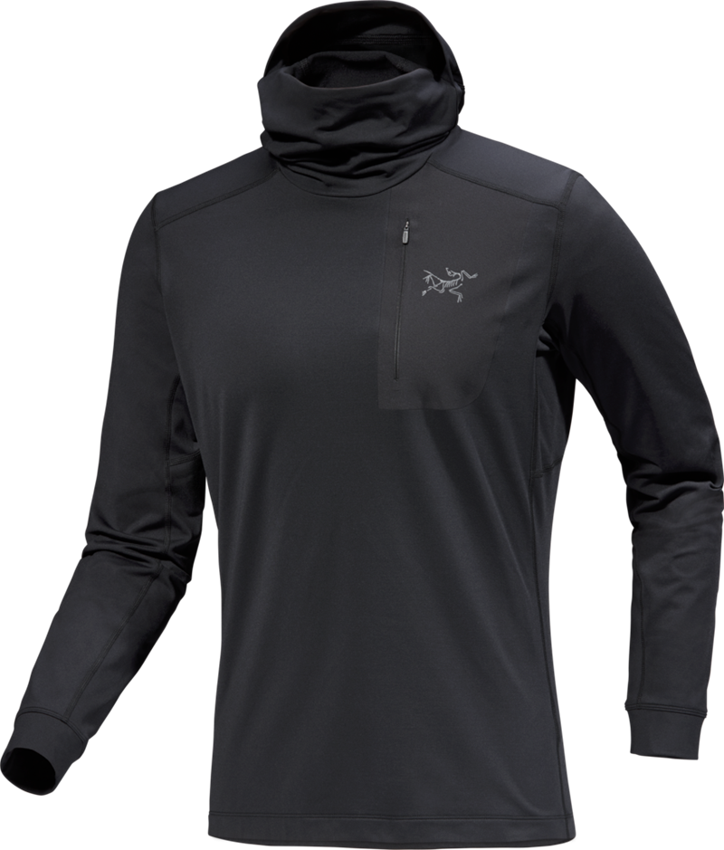 F25_X000009423_002291_Rho-LT-Hoody_Black_Men_M_Lowres.png