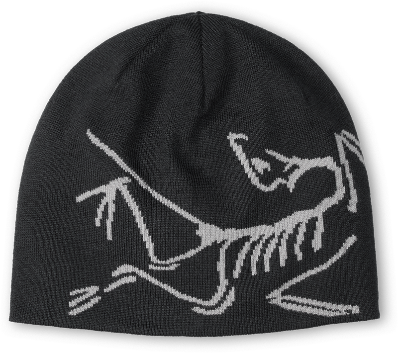 Arc`teryx Lightweight Bird Head Toque 