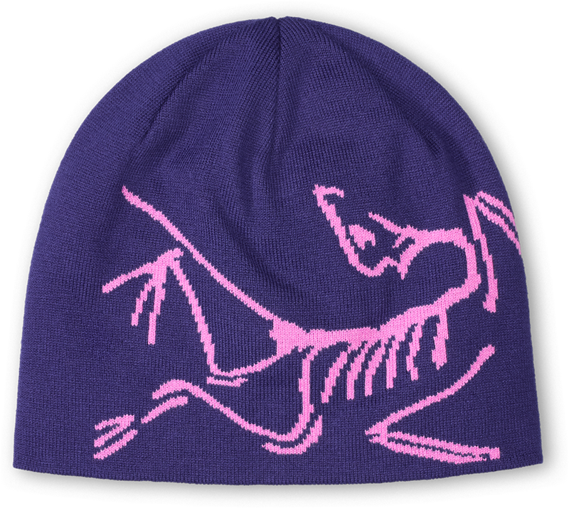 Arc`teryx Lightweight Bird Head Toque 