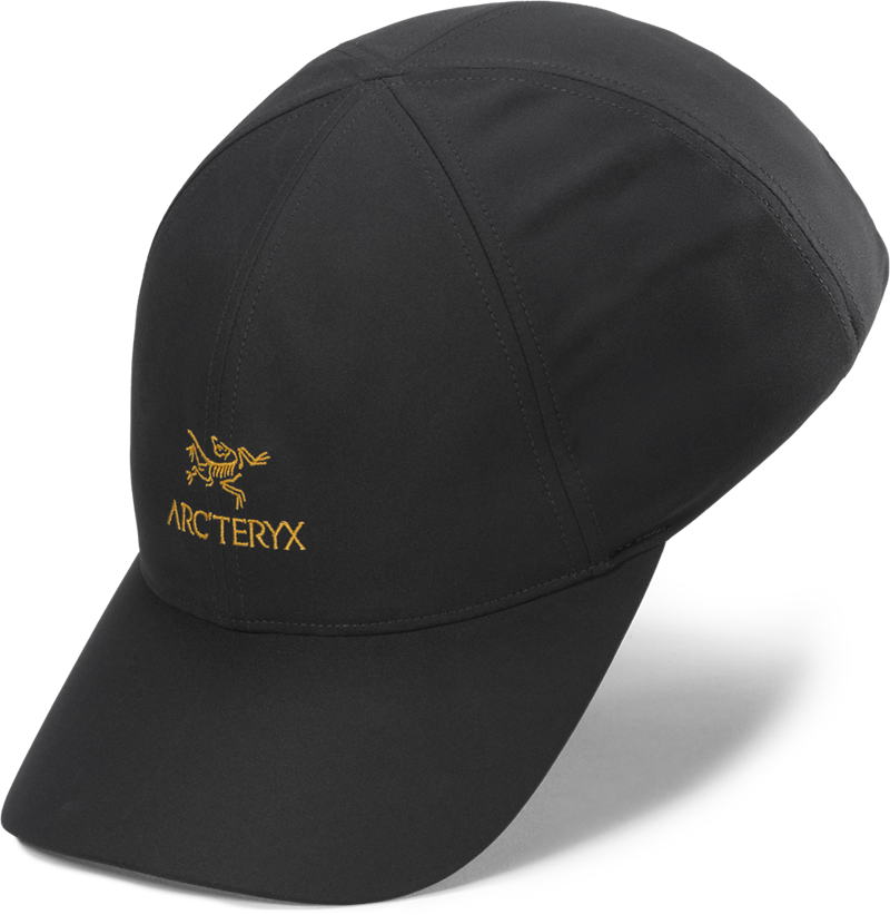 SS25-_Bird-Word-Cap_24K-Black_Neutral.png
