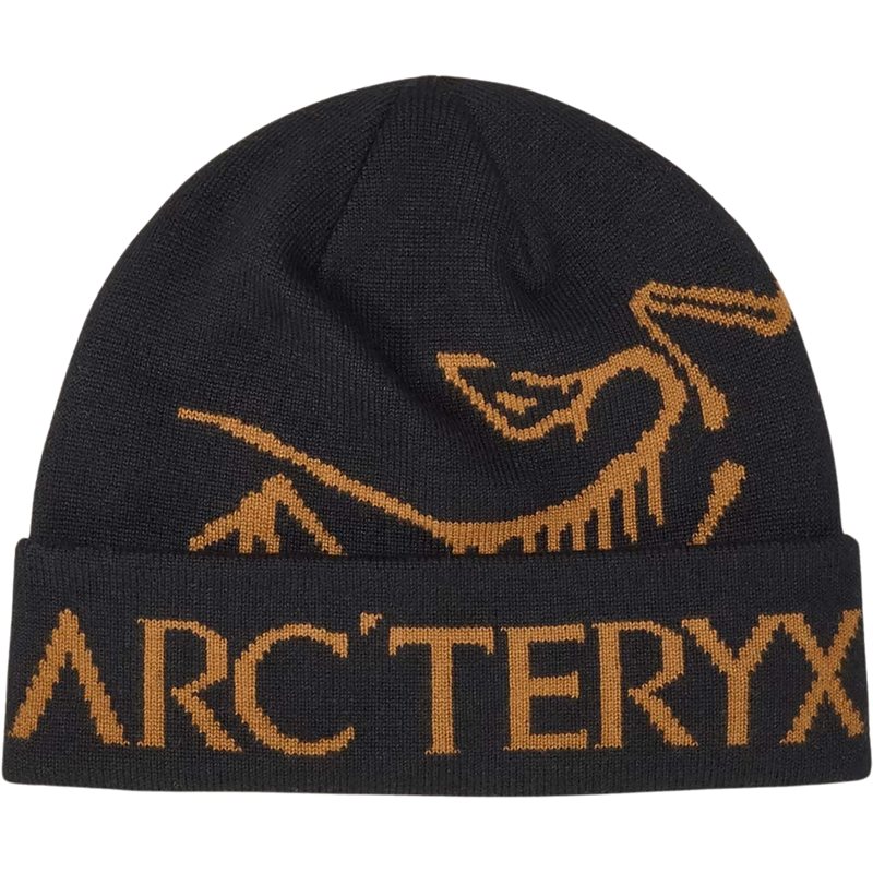 arcteryx-bird-word-toque-24K-Black.jpg