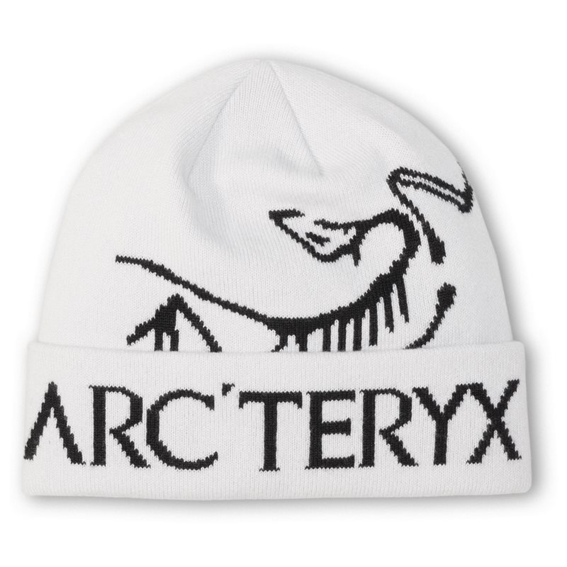 arcteryx-bird-word-toque-Orca.jpg