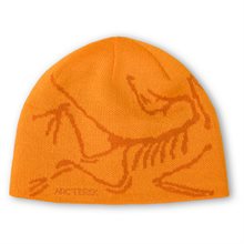 Arc`teryx Bird Head Toque 