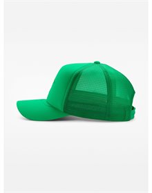 Arc`teryx Bird Trucker Curved Hat