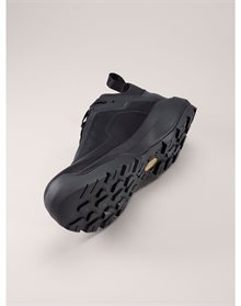 Arc`teryx Men´s Vertex Alpine GTX