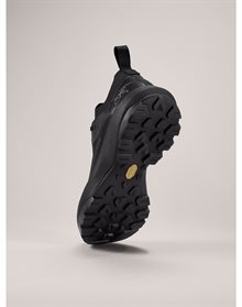 Arc`teryx Men´s Vertex Alpine GTX