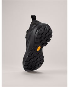 Arc`teryx Women´s Vertex Alpine GTX